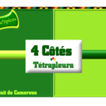 4 cotes